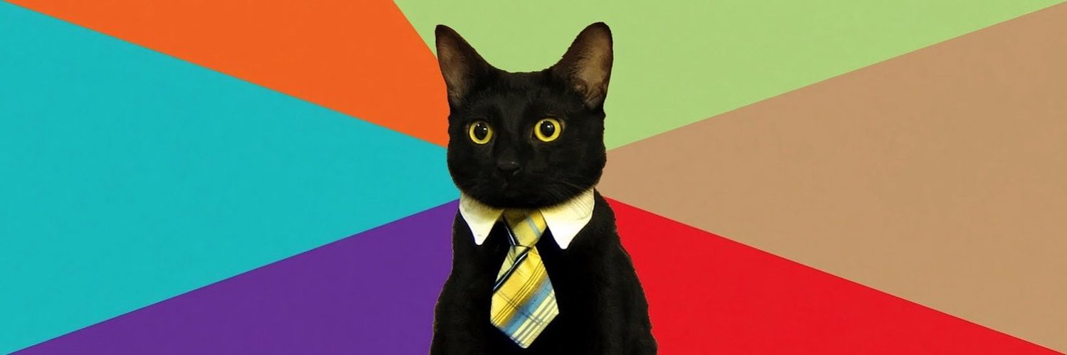 Business Cat banner